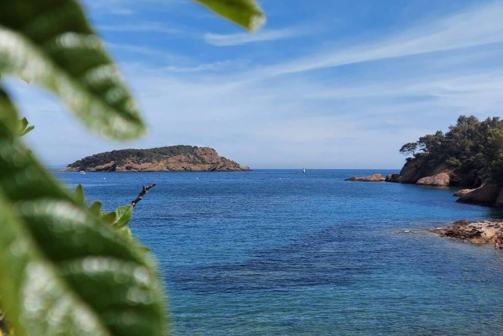 Sea View Climatise Terrasse Vue Mer Parking By Laconciergerie13 La Ciotat Exterior photo